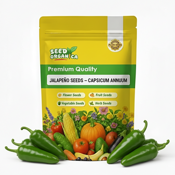 Jalapeño Seeds – Capsicum annuum