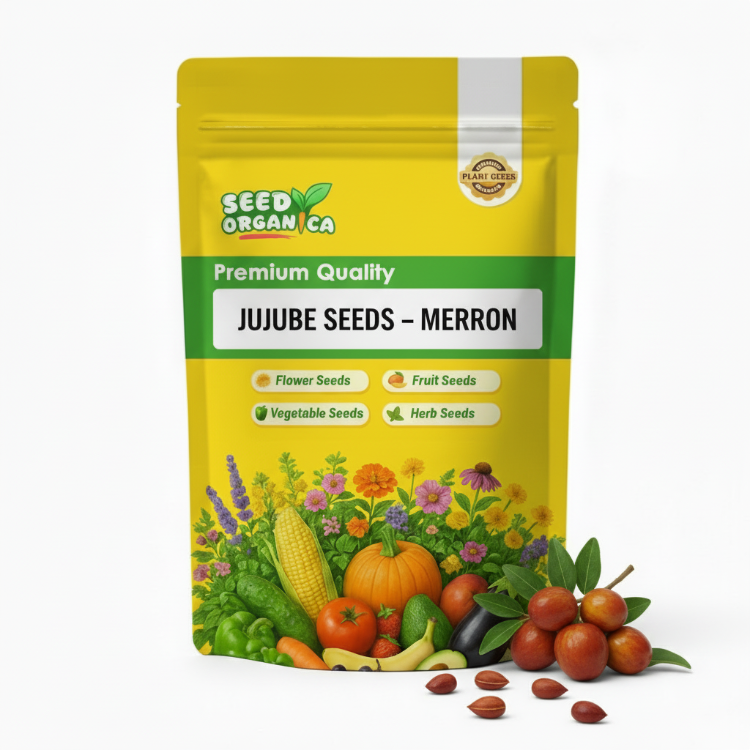 Jujube Seeds – Merron