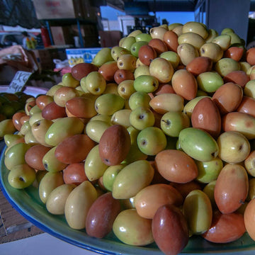 Jujube Seeds – Mixed