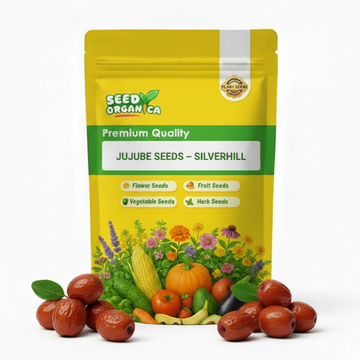 Jujube Seeds – Silverhill