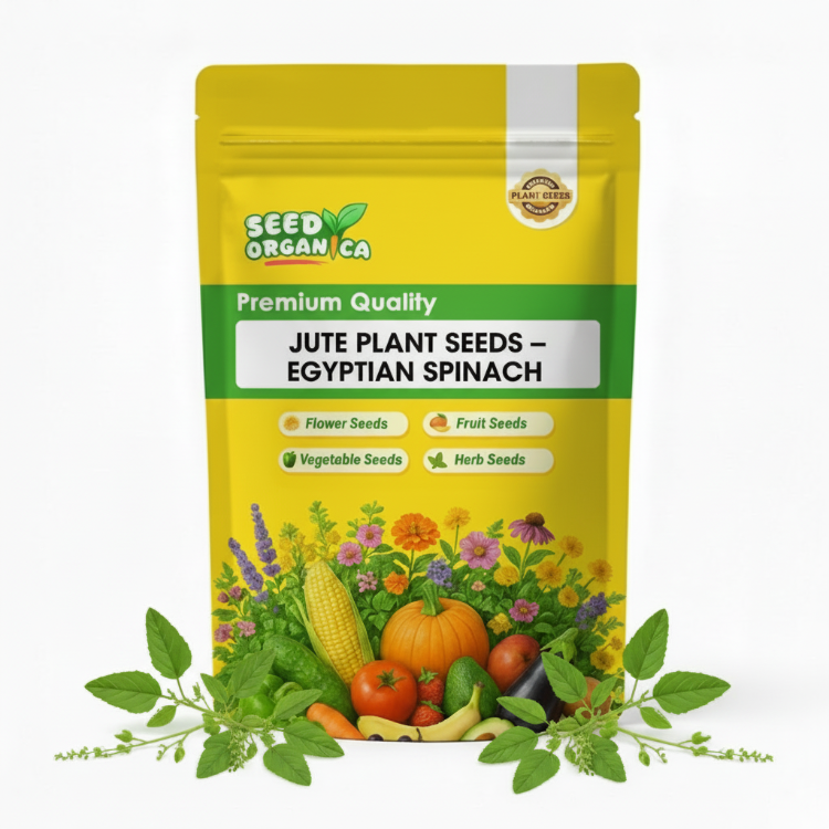 Jute Plant Seeds – Egyptian Spinach