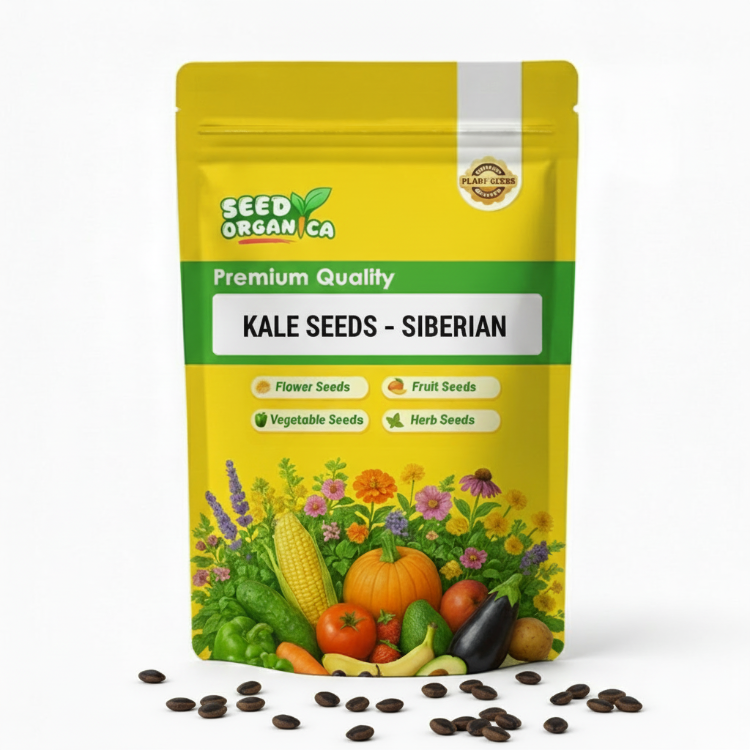 Kale Seeds – Siberian