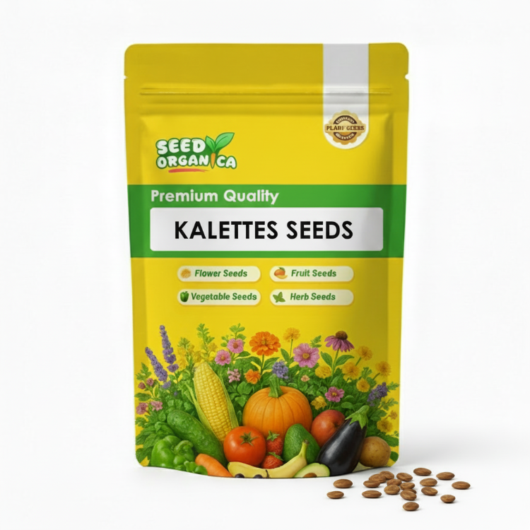 Kalettes Seeds