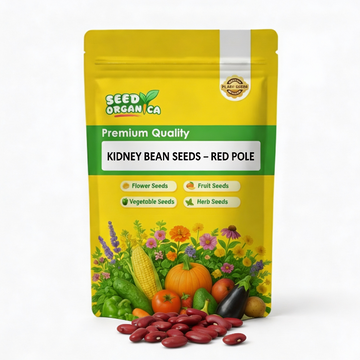 Kidney Bean Seeds – Red Pole
