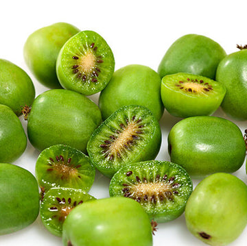 Kiwi Seeds – Green