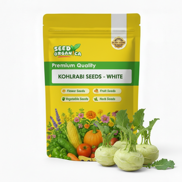 Kohlrabi Seeds - White