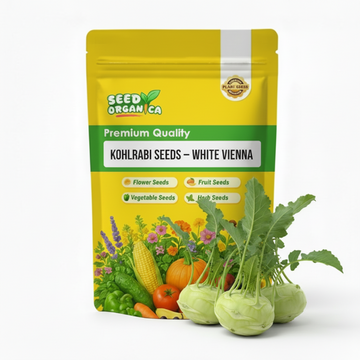Kohlrabi Seeds – White Vienna