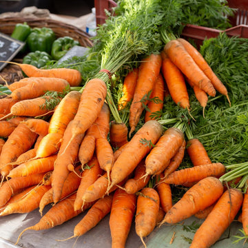 Kyoto Red Carrot Seeds - Vegetable Plant