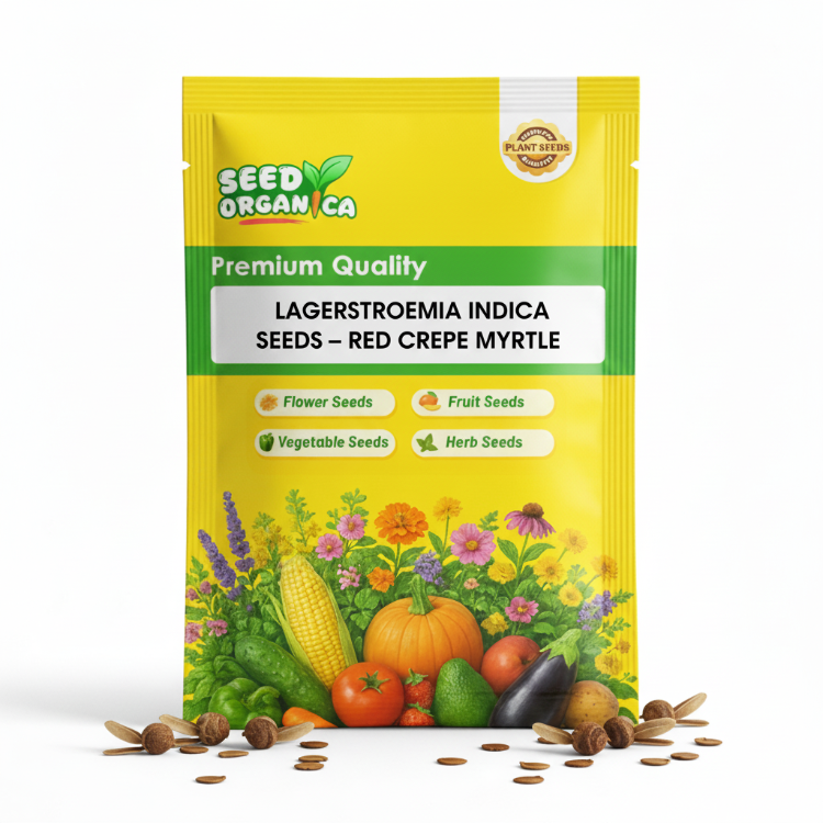Lagerstroemia indica Seeds – Red Crepe Myrtle
