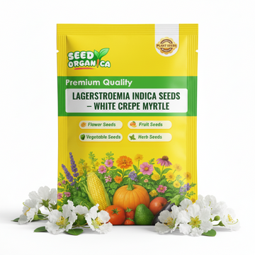 Lagerstroemia indica Seeds – White Crepe Myrtle