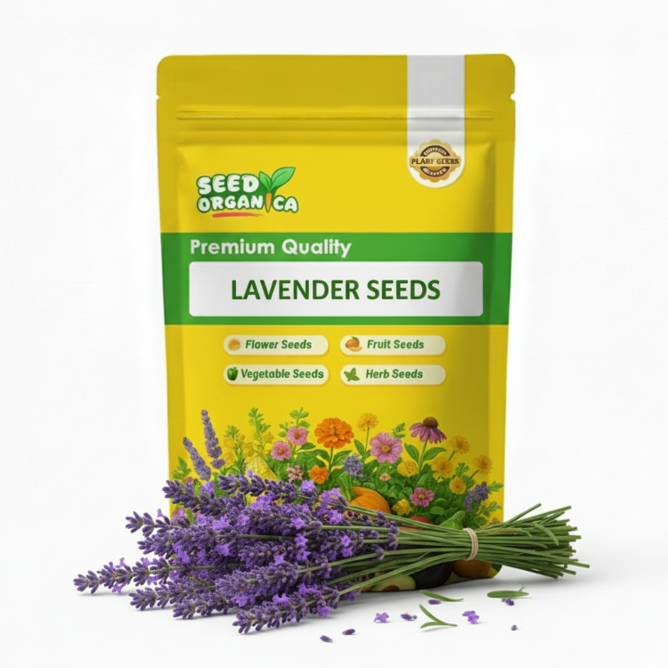 Lavender Seeds