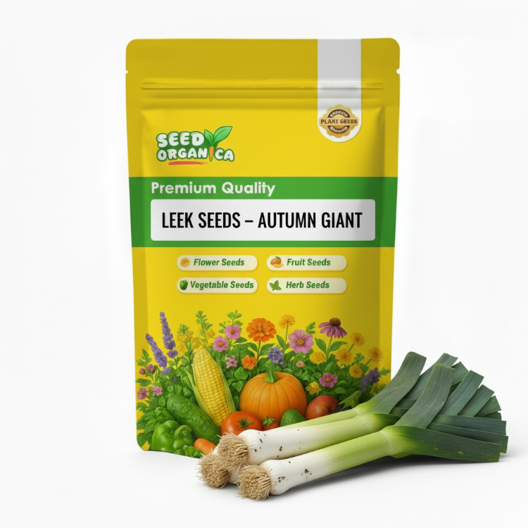 Leek Seeds – Autumn Giant