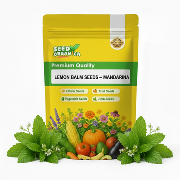 Lemon Balm Seeds – Mandarina