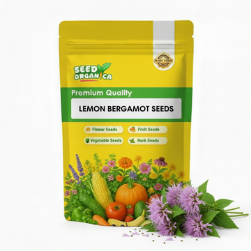 Lemon Bergamot Seeds