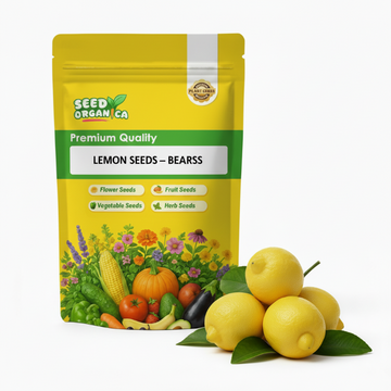 Lemon Seeds – Bearss