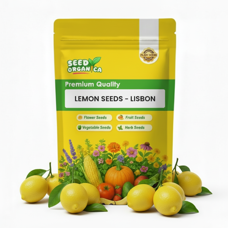 Lemon Seeds – Lisbon
