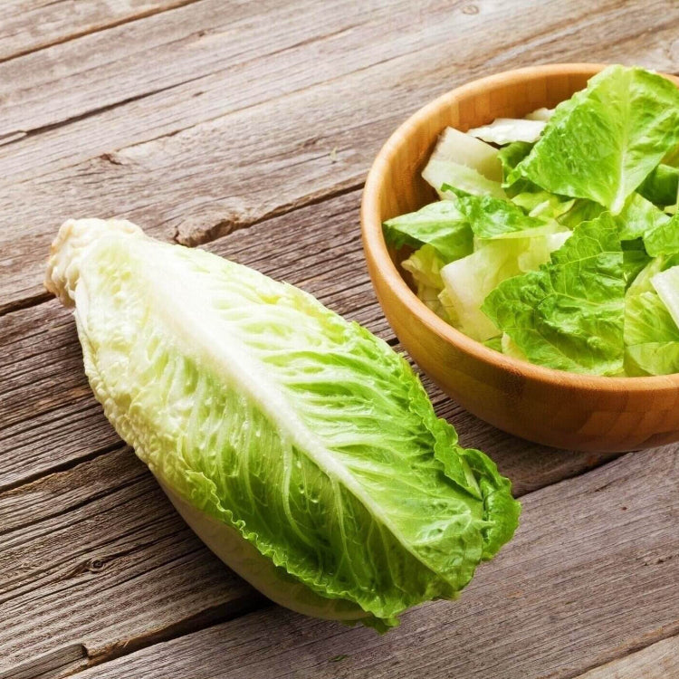 Lettuce Seeds – Romaine