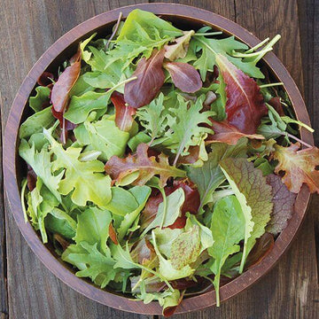 Lettuce Seeds – Mesclun Mix
