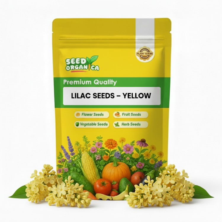 Lilac Seeds – Yellow