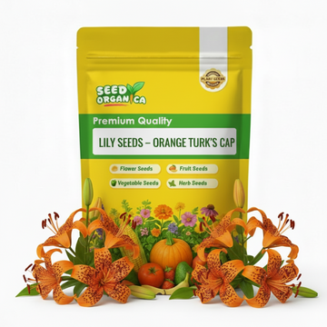 Lily Seeds – Orange Turk’s Cap