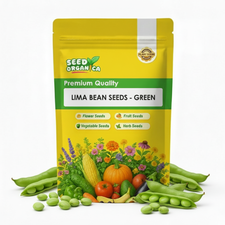 Lima Bean Seeds - Green