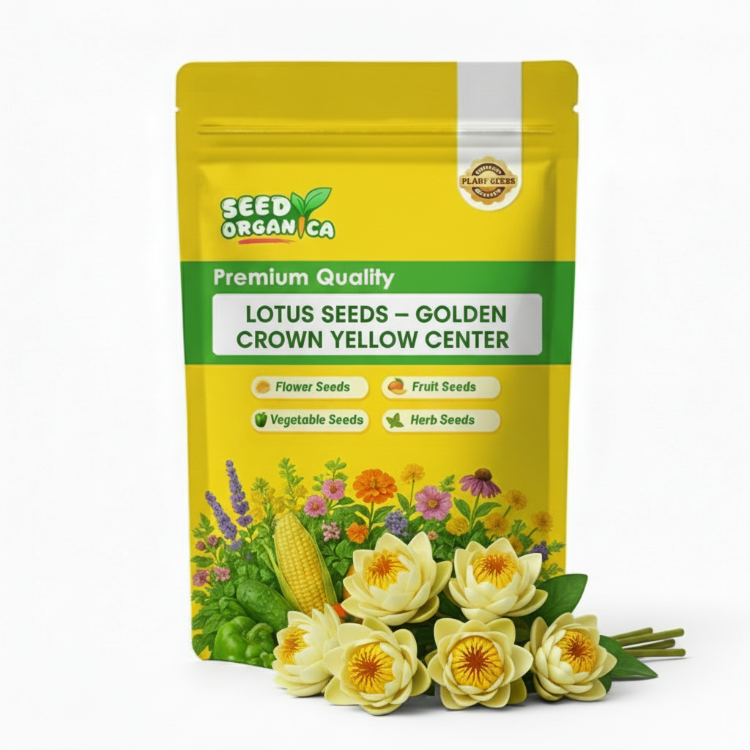 Lotus Seeds – Golden Crown Yellow Center