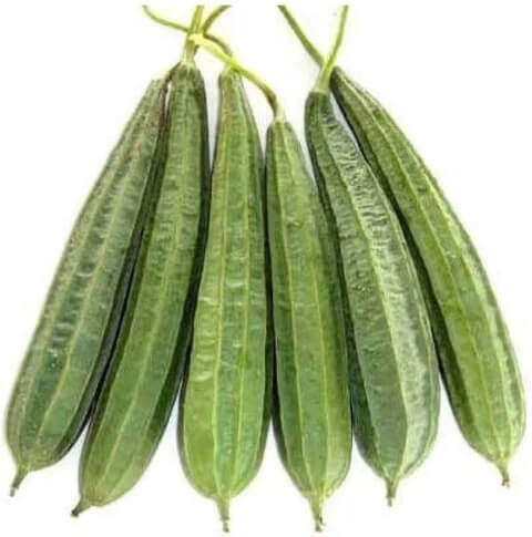 Luffa Seeds - Angled
