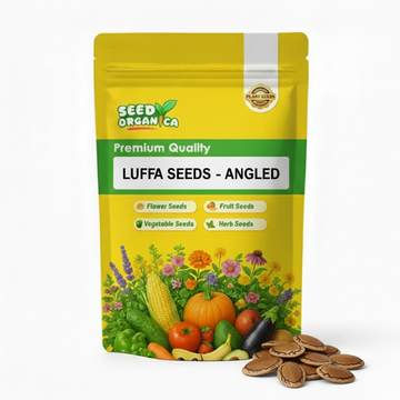Luffa Seeds - Angled