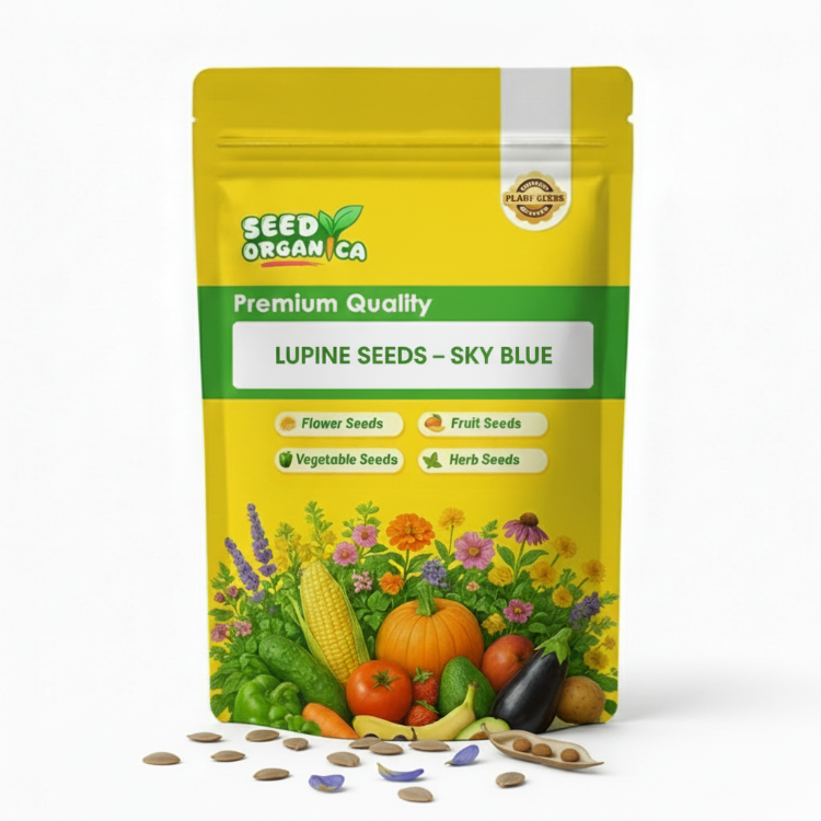Lupine Seeds – Sky Blue