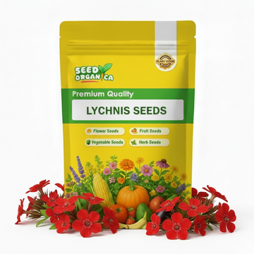 Lychnis Seeds