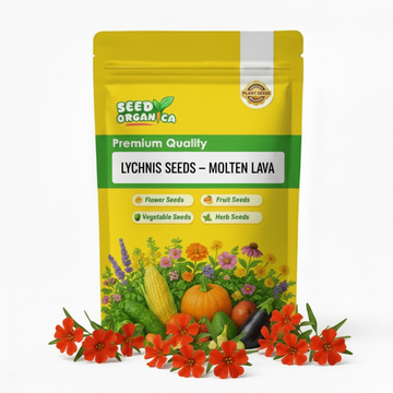 Lychnis Seeds – Molten Lava
