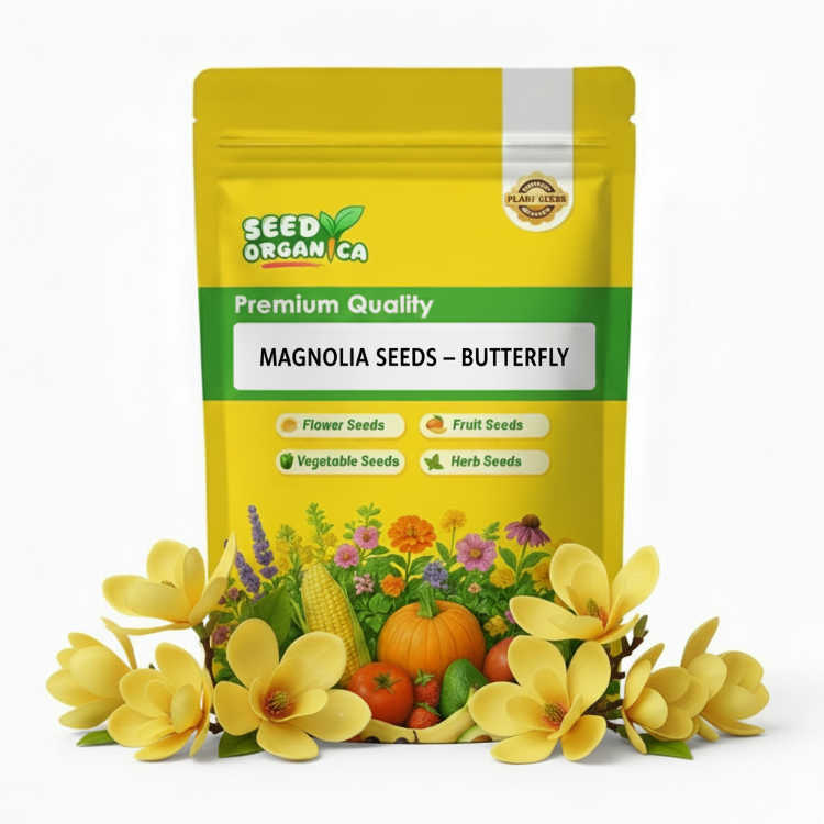 Magnolia Seeds – Butterfly