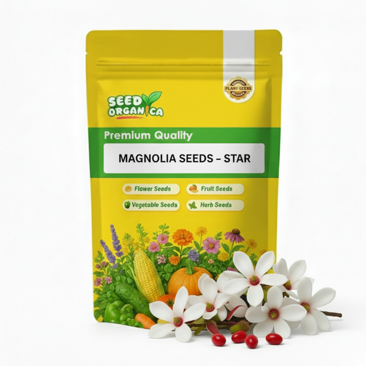 Magnolia Seeds – Star