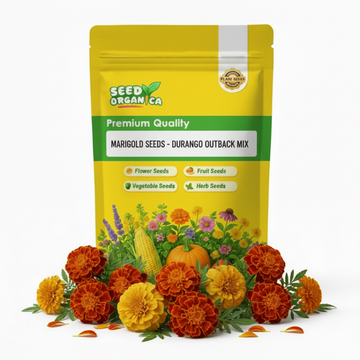 Marigold Seeds - Durango Outback Mix