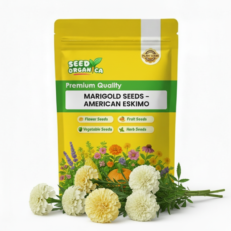 Marigold Seeds – American Eskimo