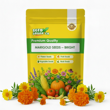 Marigold Seeds – Bright