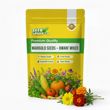 Marigold Seeds – Dwarf Mixed