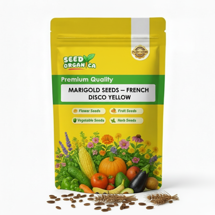 Marigold Seeds – French Disco Yellow