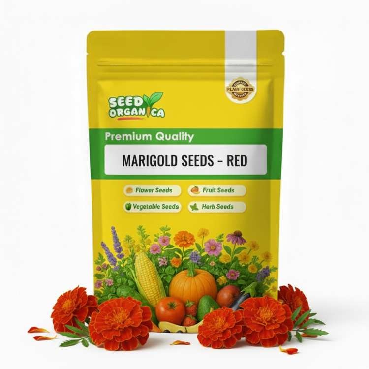 Marigold Seeds – Red