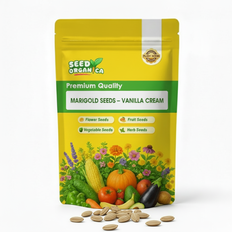 Marigold Seeds – Vanilla Cream