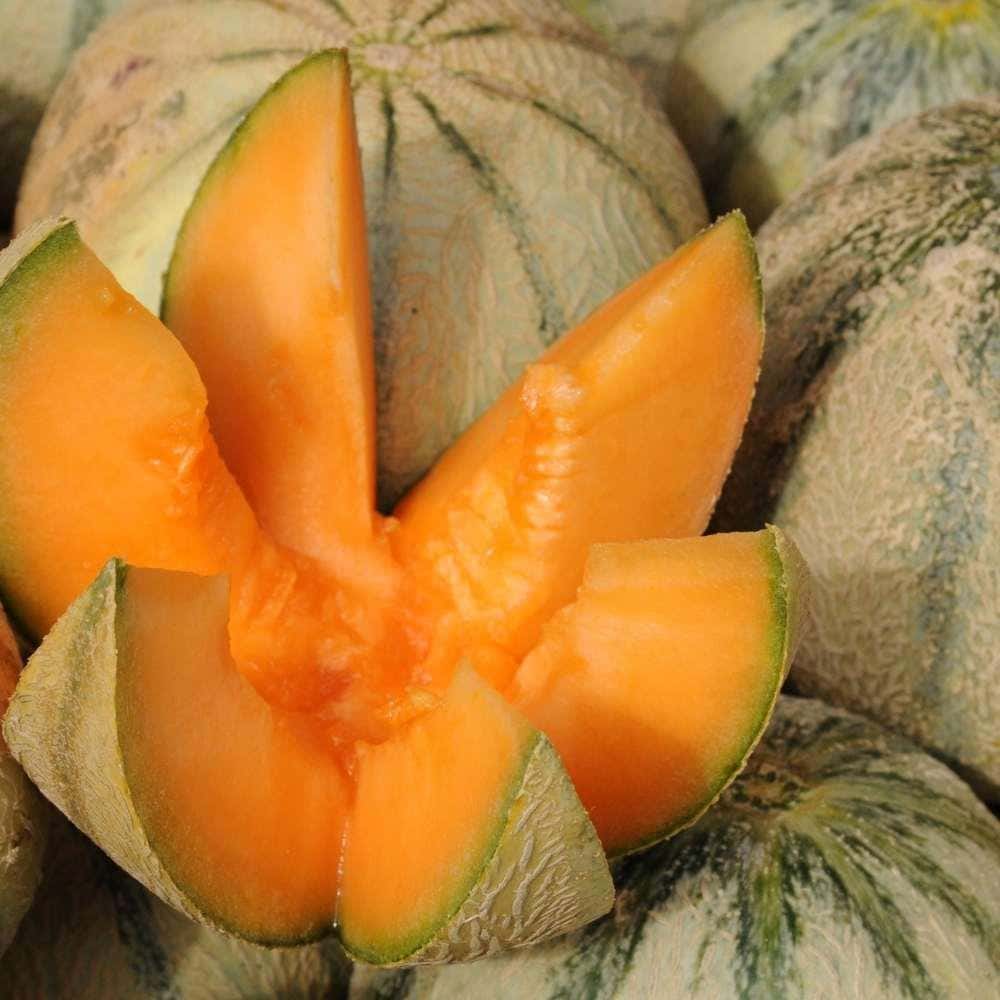 Melon Seeds – Breast