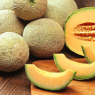 Melon Seeds – Brown Cantaloupe