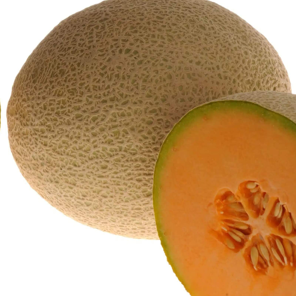 Melon Seeds – Brown Cantaloupe