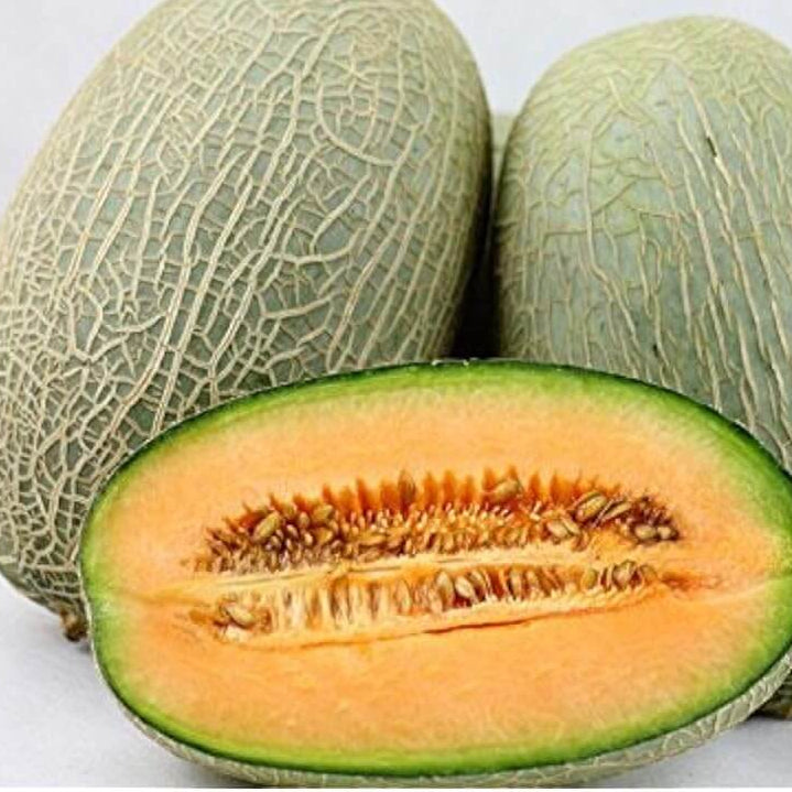 Melon Seeds – Chinese Hami
