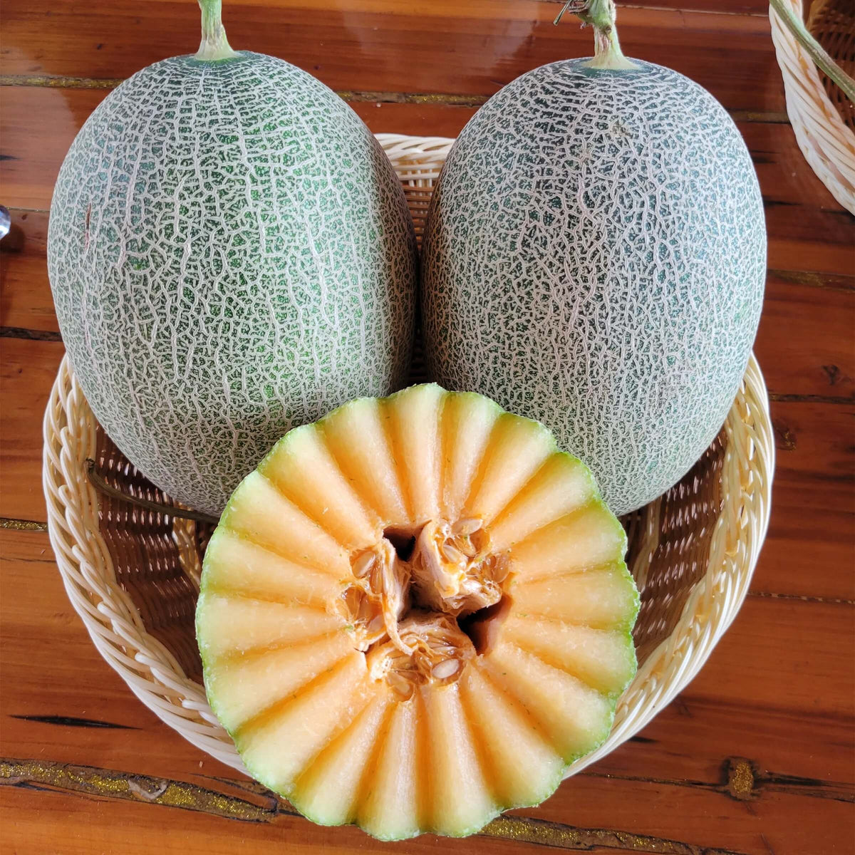 Melon Seeds – Chinese Hami