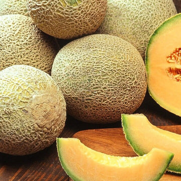 Melon Seeds – European Cantaloupe