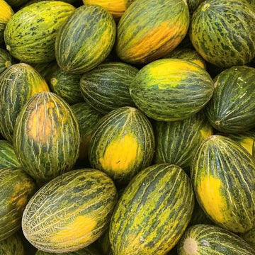 Melon Seeds – Green Toadskin