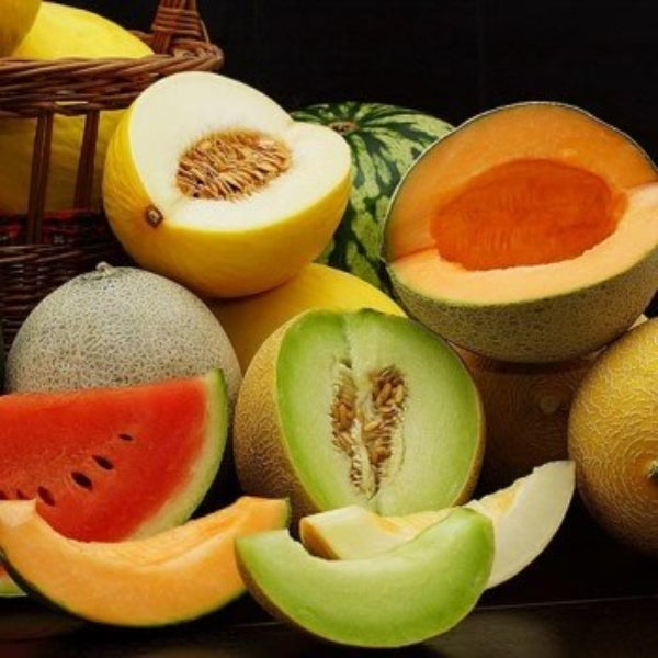 Melon Seeds – Mixed Cantaloupe
