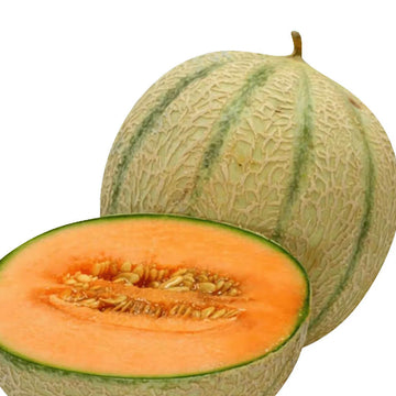 Melon Seeds – Musk