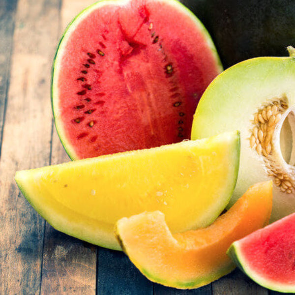 Melon Seeds – Red Cantaloupe